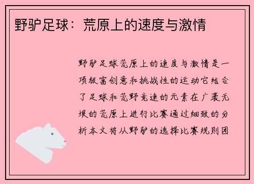 野驴足球：荒原上的速度与激情