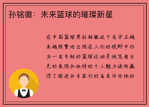 孙铭徽：未来篮球的璀璨新星