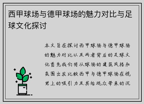 西甲球场与德甲球场的魅力对比与足球文化探讨