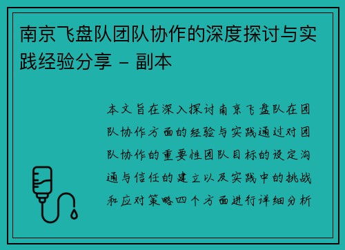 南京飞盘队团队协作的深度探讨与实践经验分享 - 副本